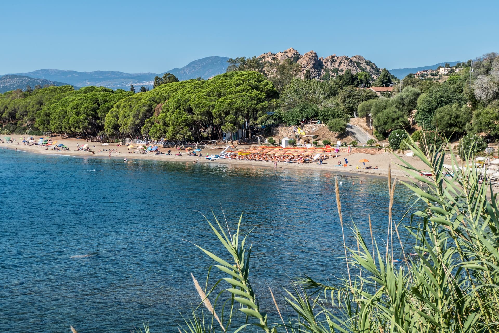 Tancau Sul Mare