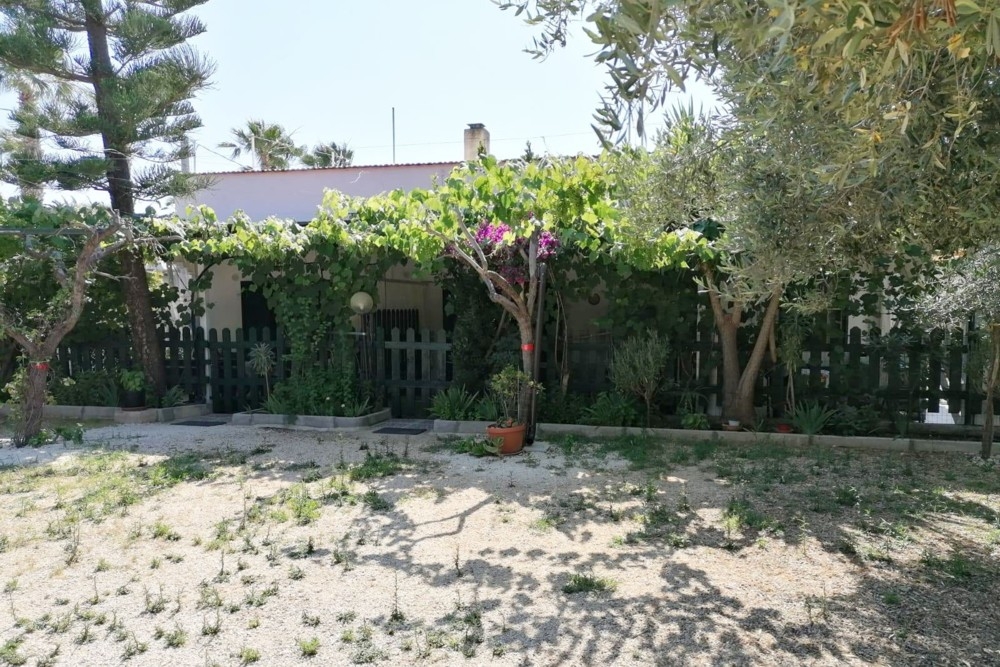 Appartamenti Paola Pizzomunno Vieste