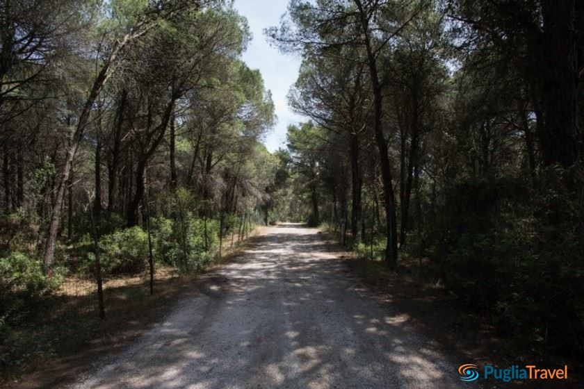 Villaggio Torre del Faro – Scanzano Jonico/Basilicata