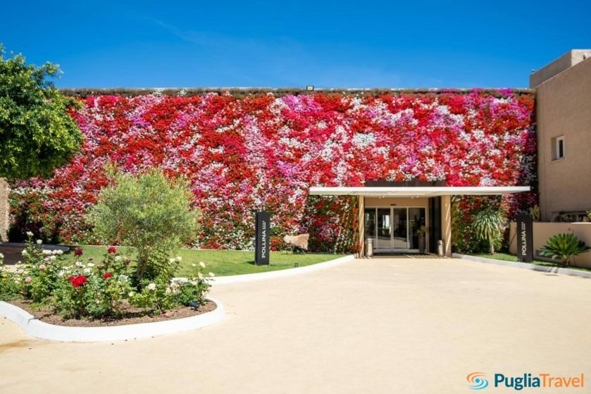 Mangia's Pollina Resort