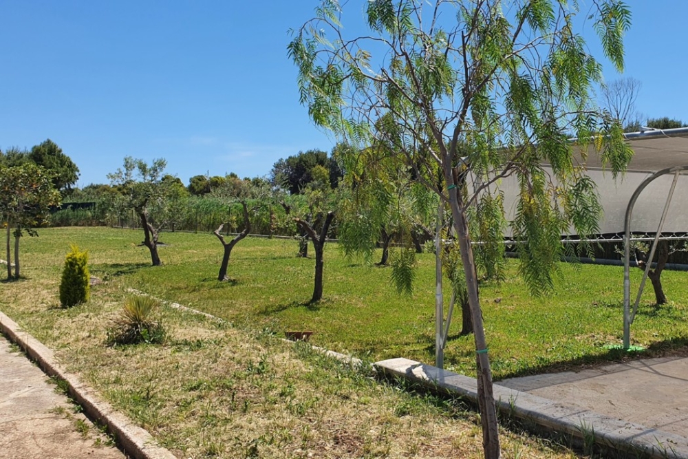 -Villa Mariangela Lungomare Mattei Pizzomunno Vieste