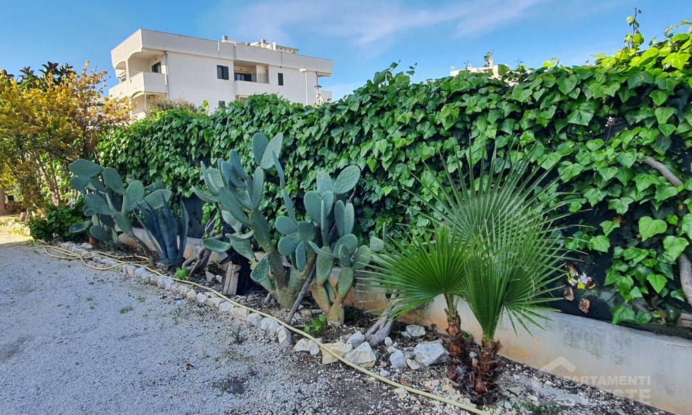 Appartamenti Pertini Lungomare Europa - Centro Vieste