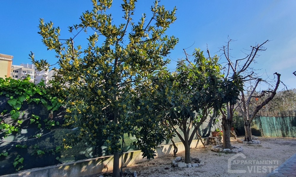 Appartamenti Pertini Lungomare Europa - Centro Vieste
