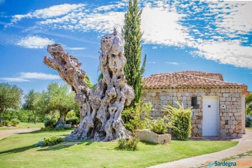 Villas Resort Nicolaus Club